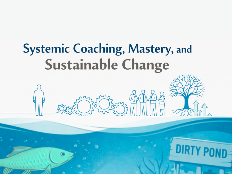 Illustration representing systemic coaching and sustainable change, showing interconnected systems, leadership development, and the clean fish dirty water metaphor